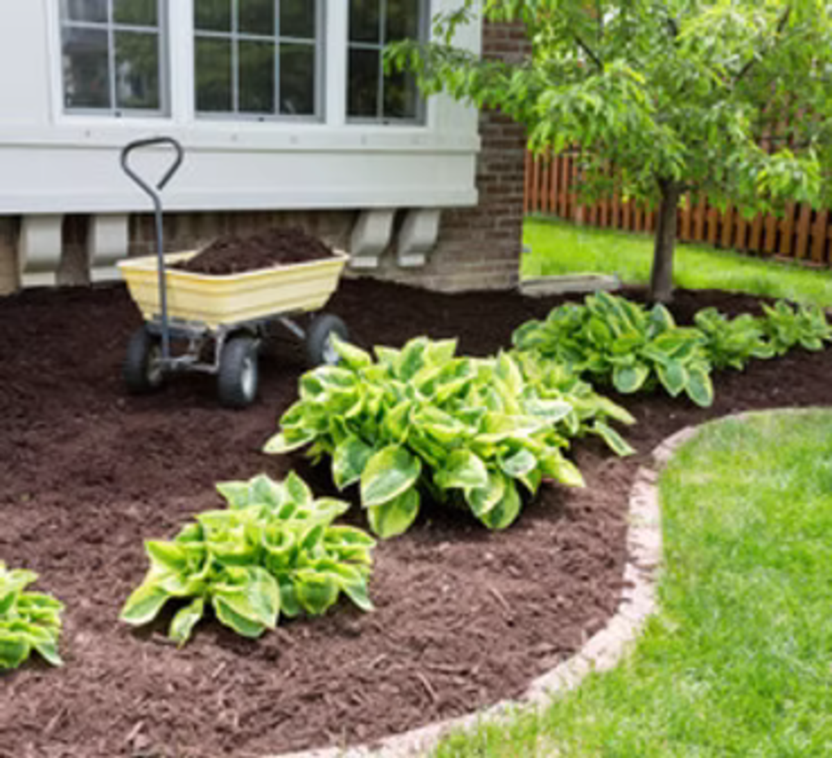 BluePlanet Lawn 
