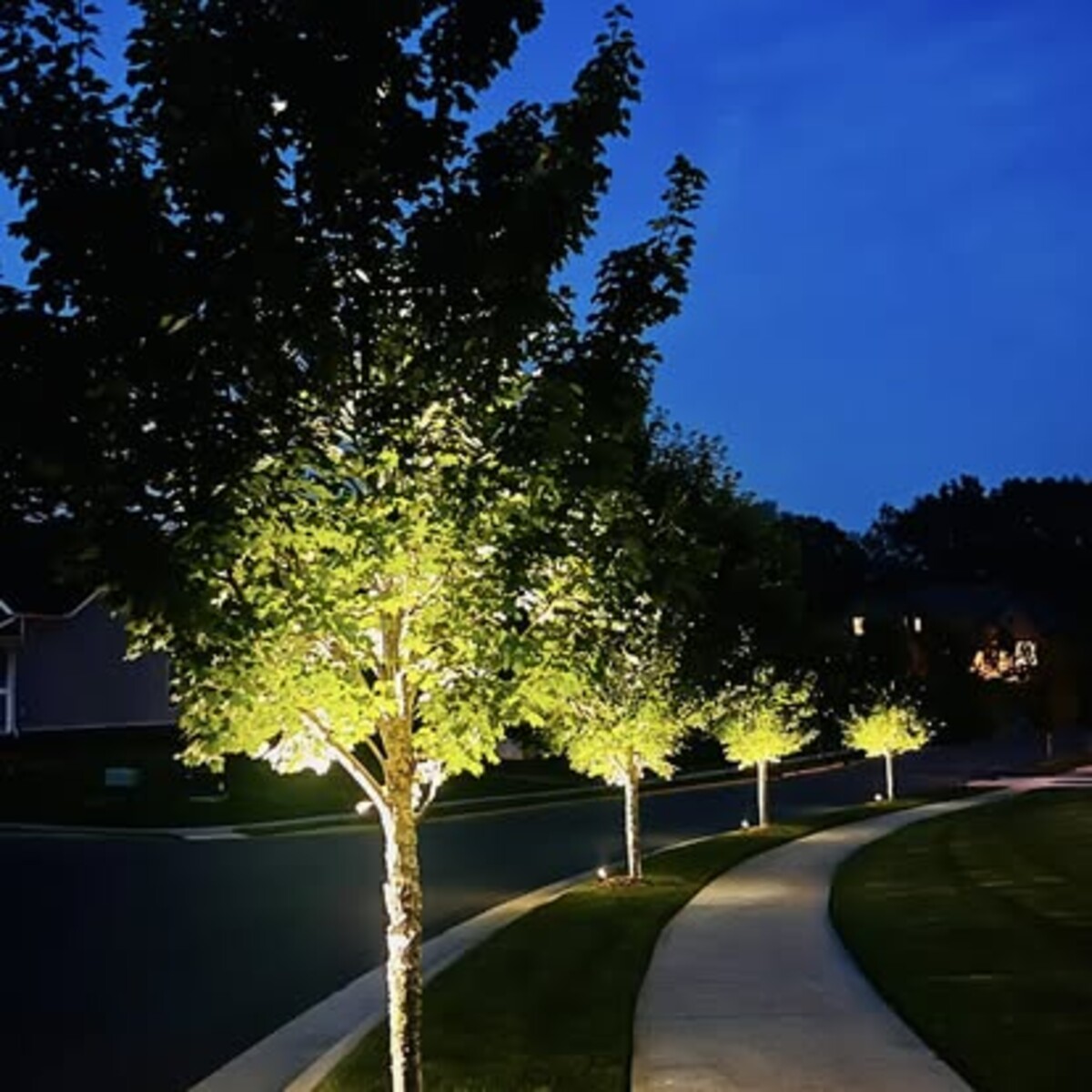 Acer Landscape Management