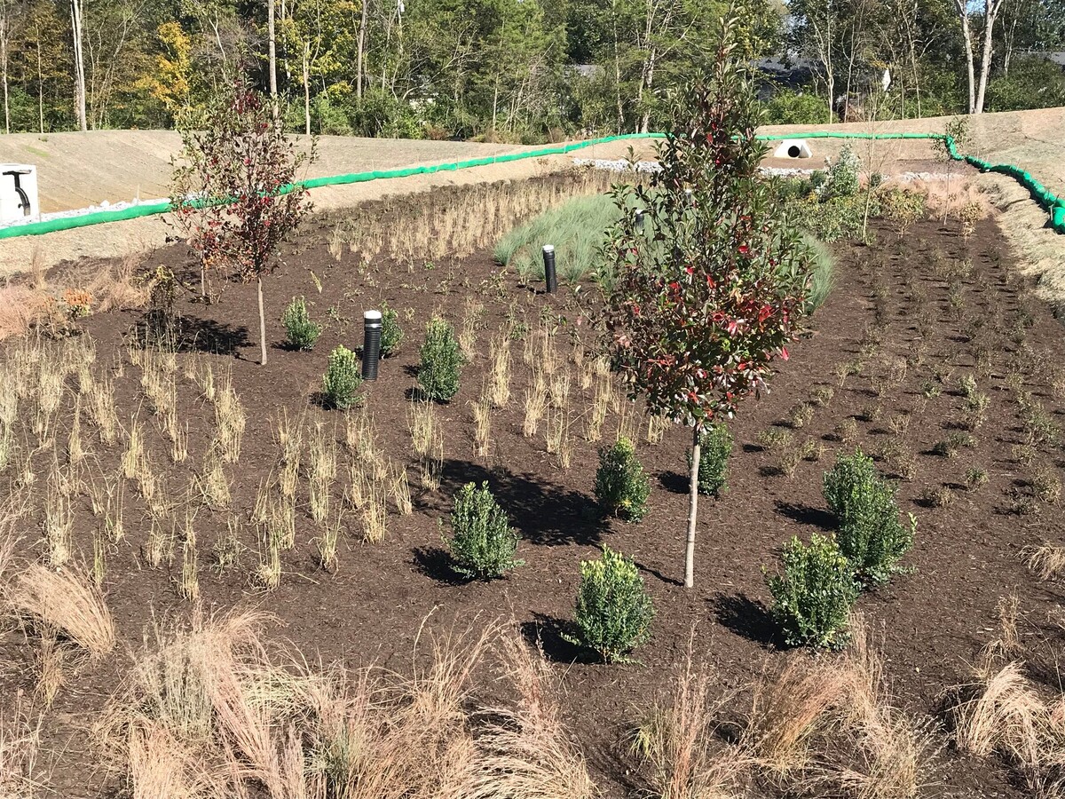 Acer Landscape Management