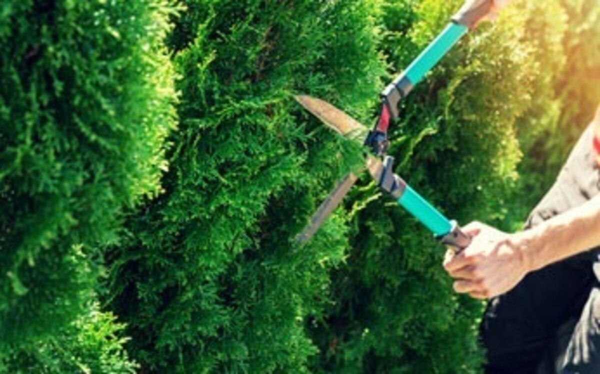TerraWorks Construction and Landscaping