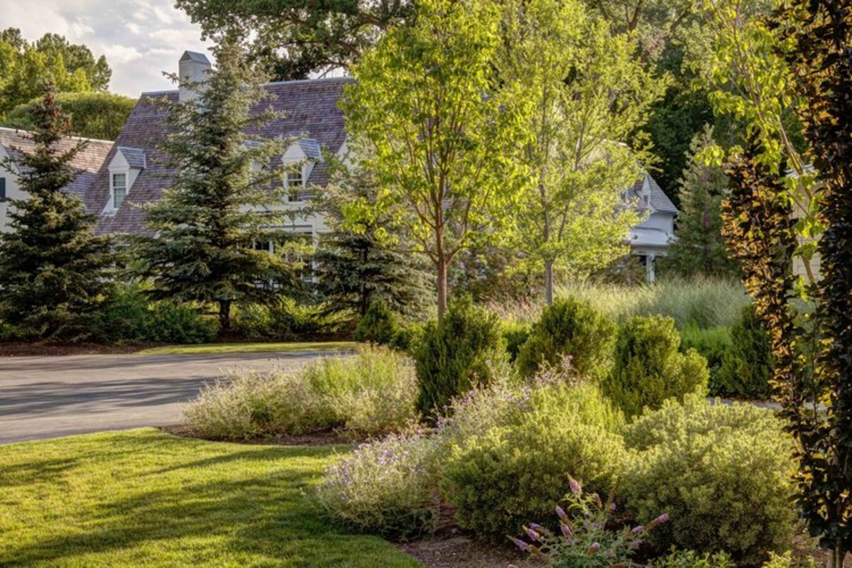 Tuck Landscape