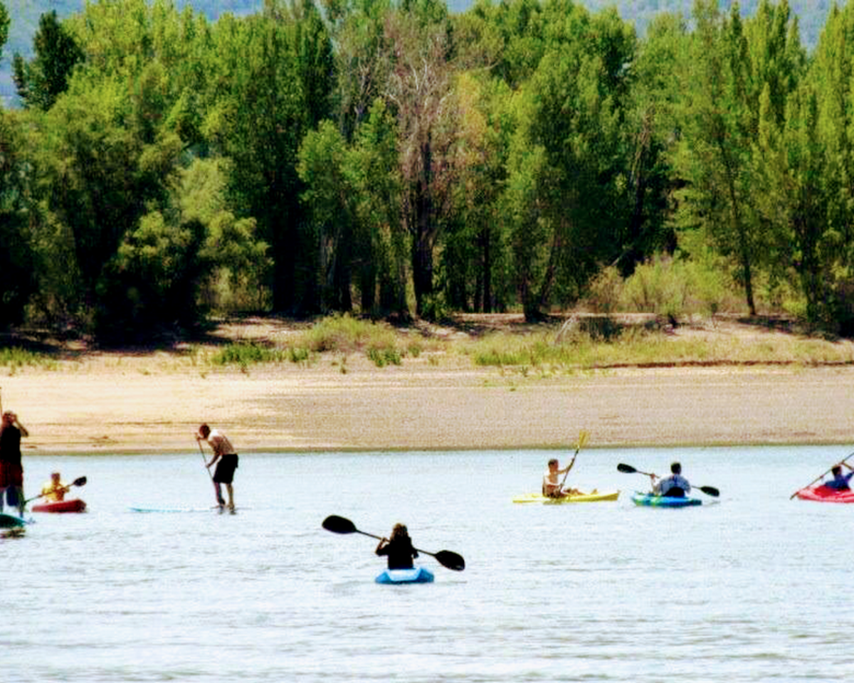 Green Adventure Sport Rentals