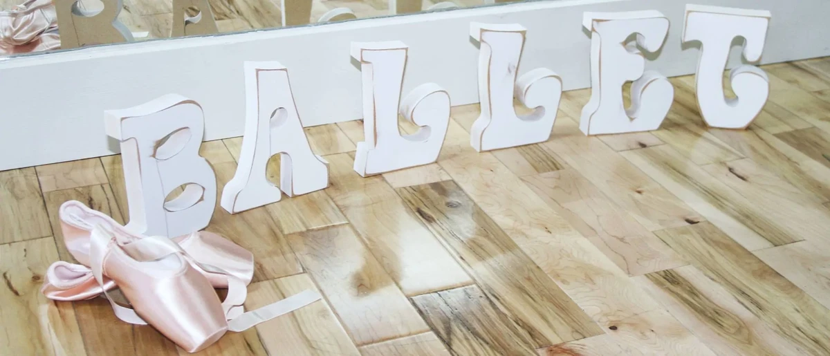  The dance shop of logan